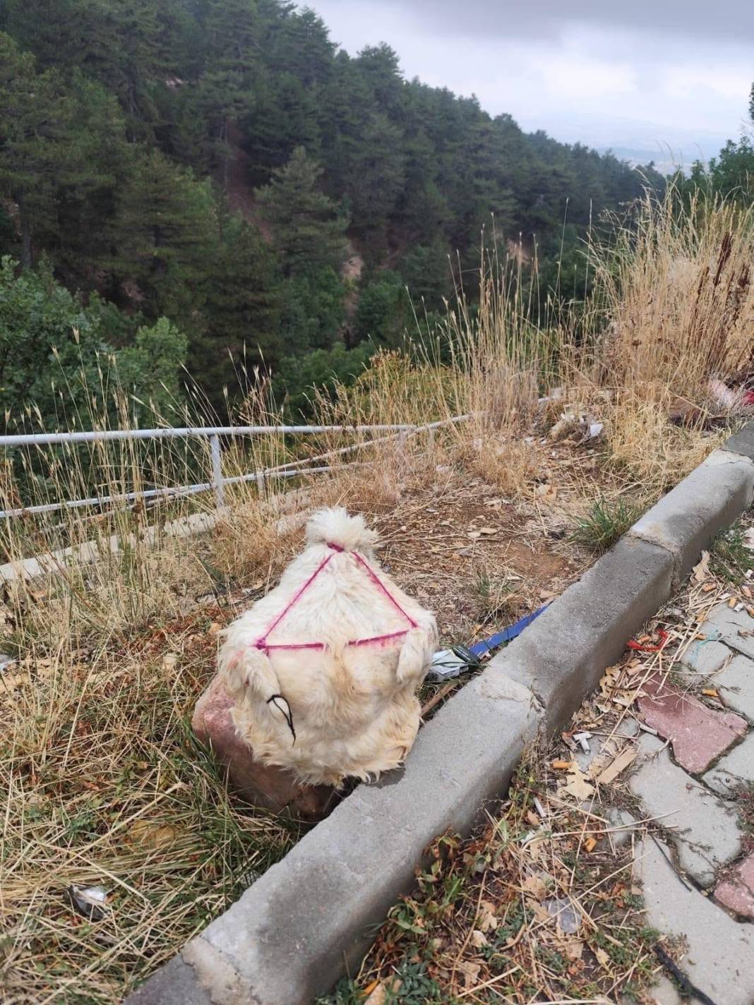 Mucize lezzet, Konya’da inlerden çıkmaya başladı 3